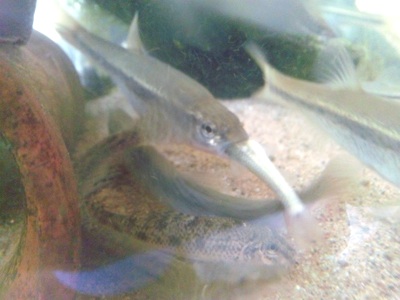 f0082402_19121256.jpg