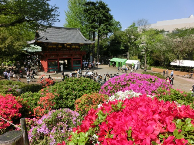 b0190603_1625164.jpg