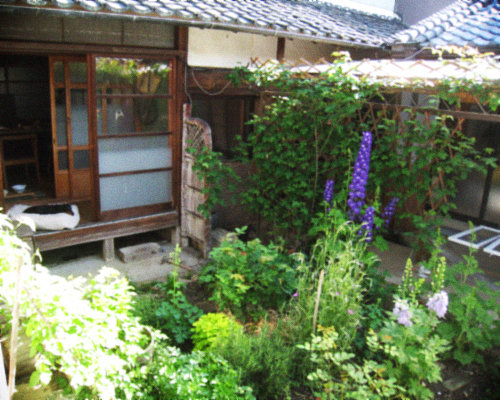 オーガニックな春の庭を囲む古民家暮らし Bon Copain