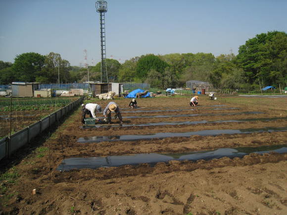 e0270403_18422664.jpg