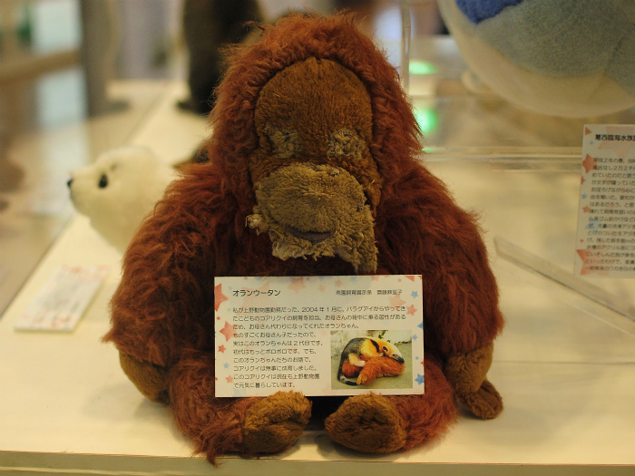 動かないけれどかわいい動物たち Bonsoir
