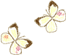 a0168104_16212728.gif