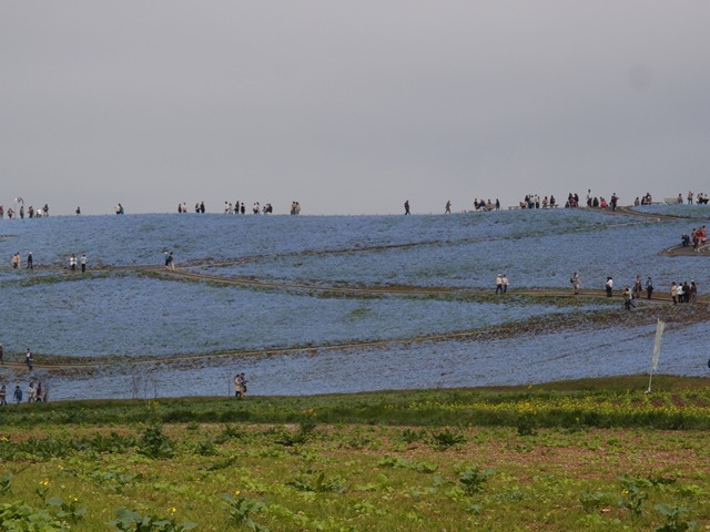 e0018604_22364679.jpg