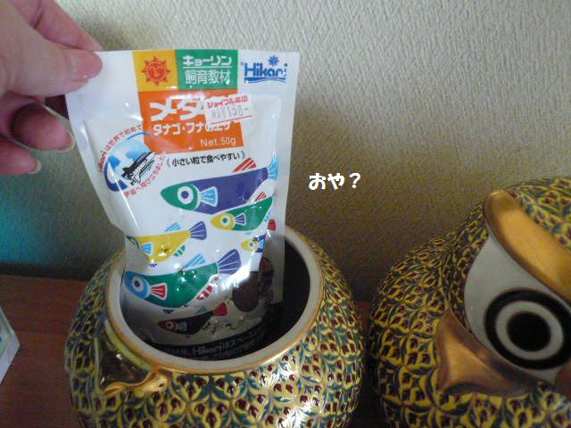 e0094407_23335834.jpg