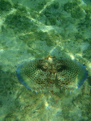 f0057507_10451842.jpg