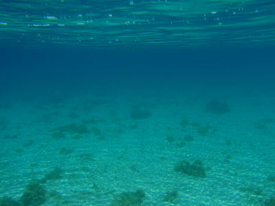 f0057507_10453586.jpg
