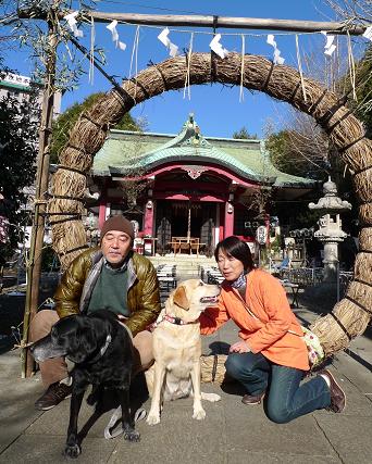 初詣（その1）　市谷亀岡八幡宮　_e0028708_1630674.jpg