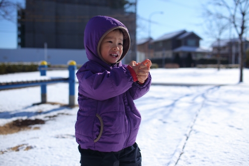 雪の日_c0211309_884792.jpg