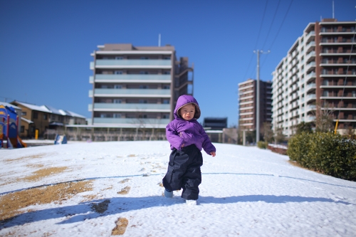 雪の日_c0211309_885139.jpg