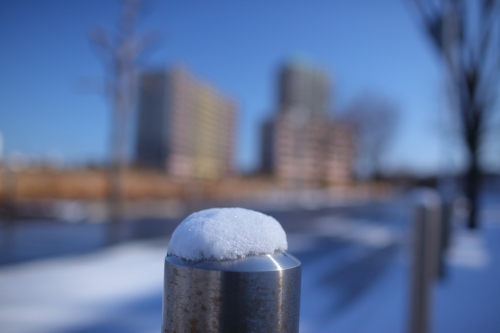 雪の日_c0211309_885395.jpg