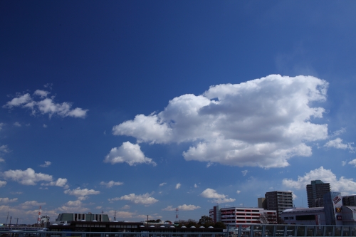 c0211309_89532.jpg