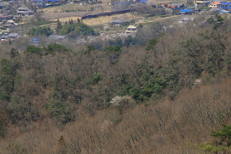 b0190710_21501097.jpg