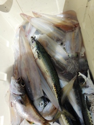 2012年4月24日 火曜日_f0031613_1558276.jpg
