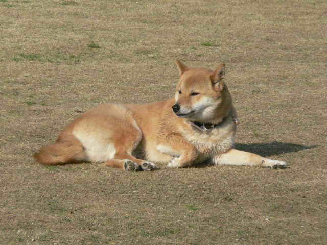 a0190414_19493166.jpg