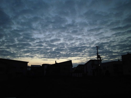 b0223516_10582266.jpg