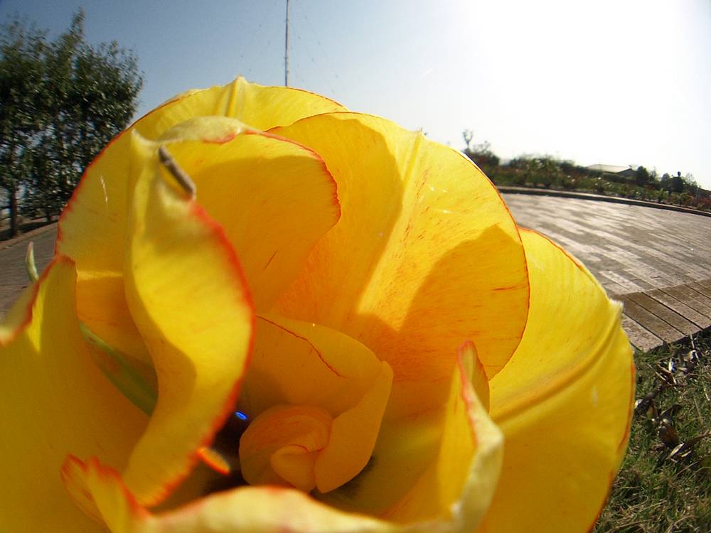 c0145418_16383310.jpg