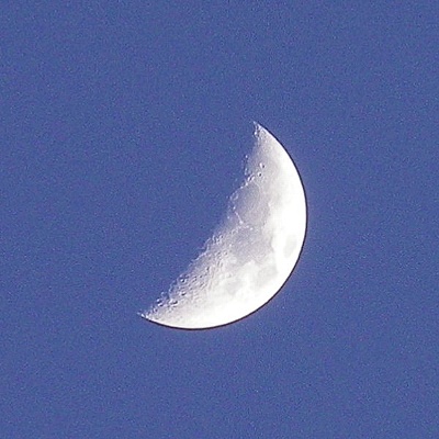 a0260019_2374862.jpg