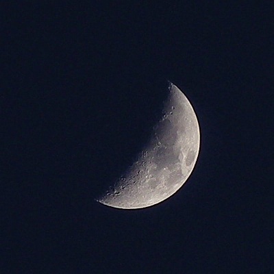 a0260019_2384142.jpg