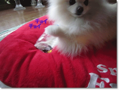 b0167519_14343922.gif