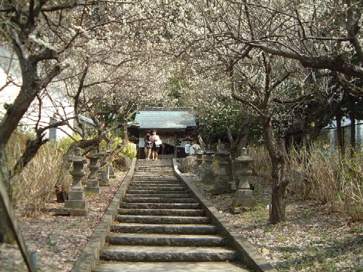 c0074721_16285530.jpg