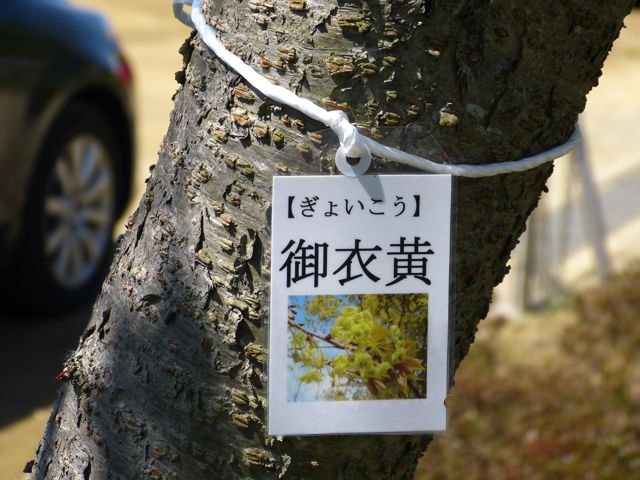 a0188023_1853439.jpg
