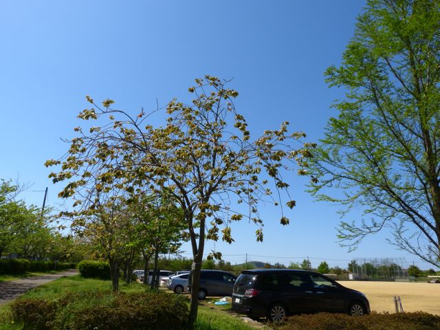 a0188023_18535964.jpg