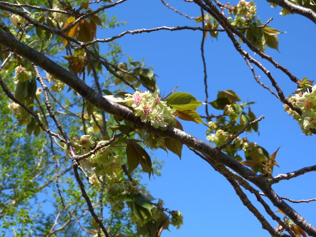 a0188023_18542042.jpg