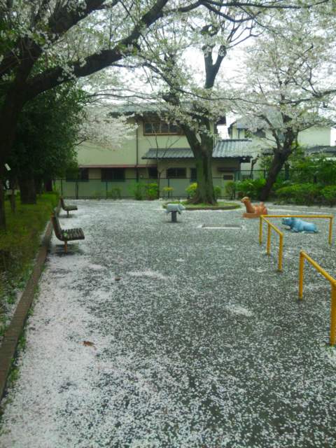 b0244424_20531433.jpg