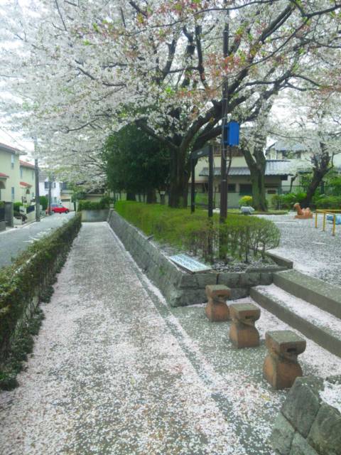 b0244424_20531461.jpg