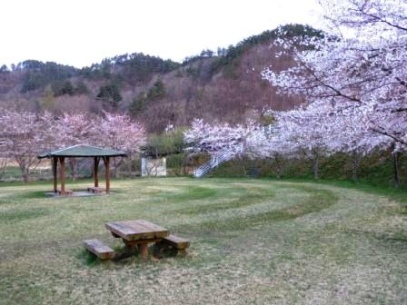 岩泉のお花見スポット_b0206037_18373558.jpg