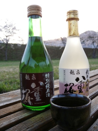 岩泉のお花見スポット_b0206037_1842096.jpg