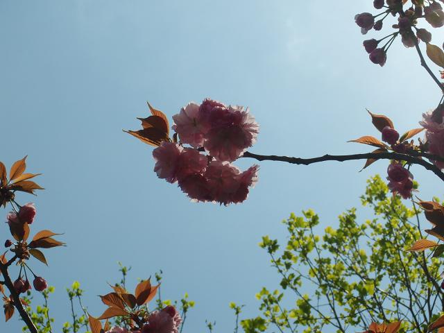 c0156345_15314225.jpg