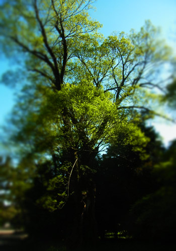 薫風。_d0227246_1683055.jpg