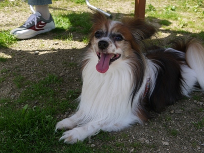 e0100046_23231628.jpg