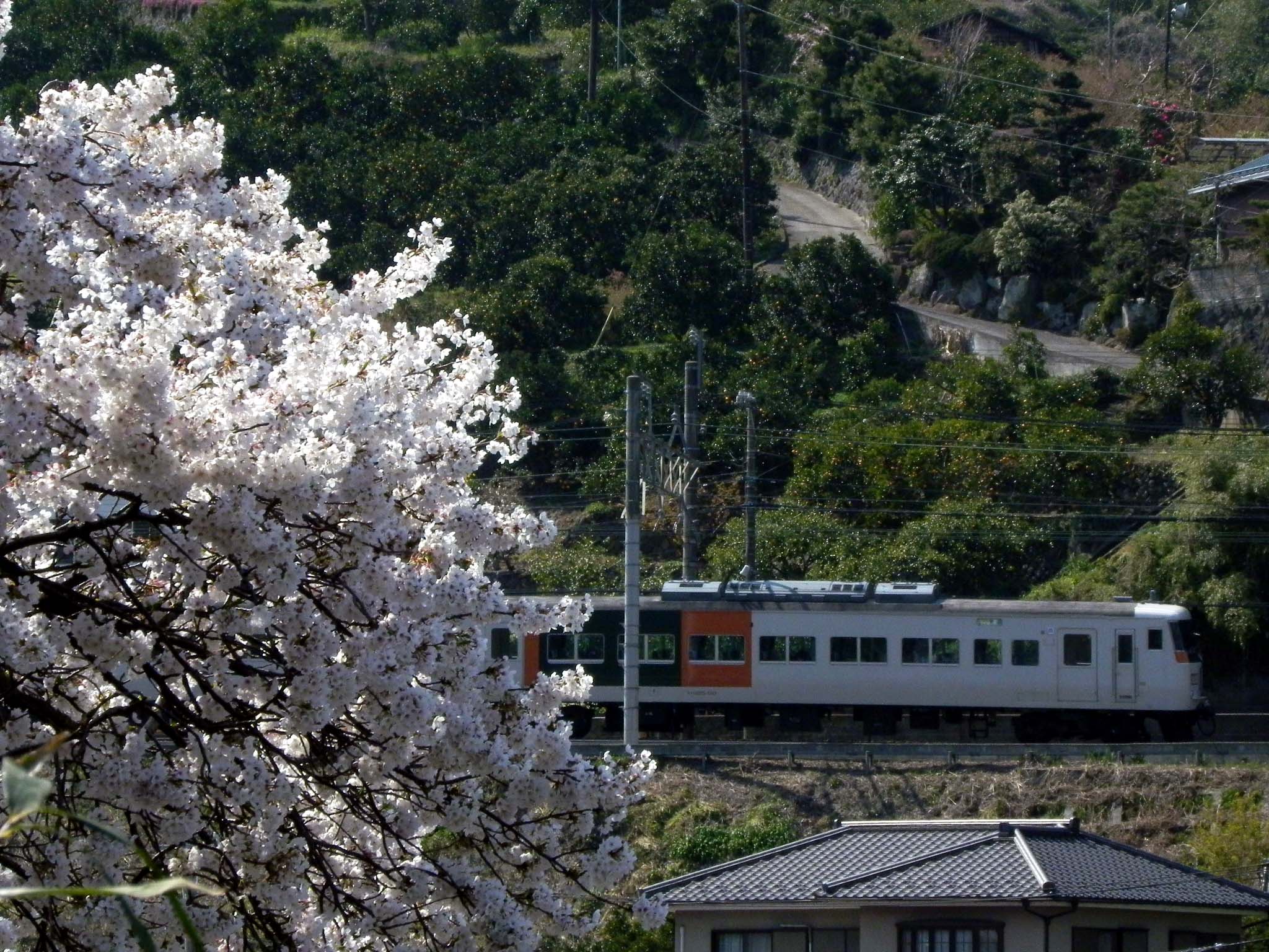 f0113552_11393538.jpg