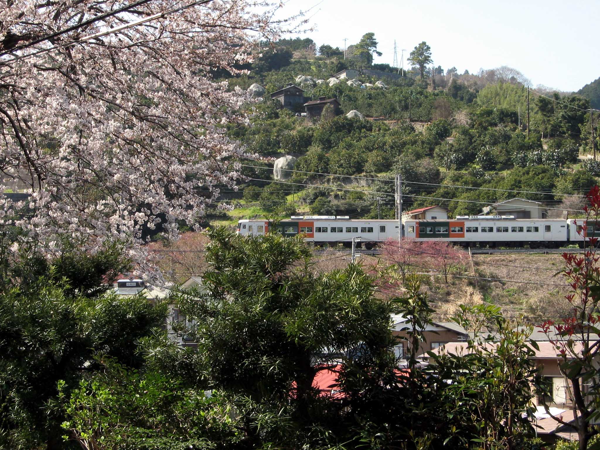 f0113552_1139966.jpg
