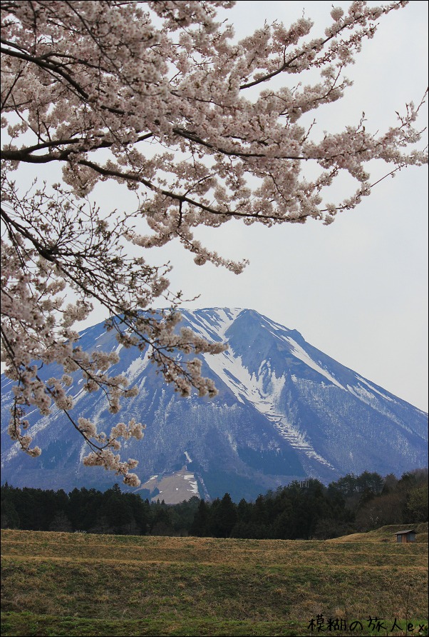 桜と伯耆大山・・・　～伯耆・出雲の旅（５）_f0140054_13564654.jpg