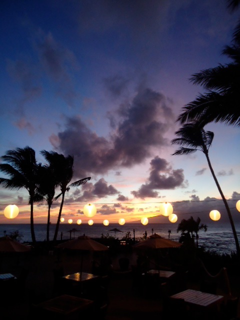 f0198556_01323.jpg