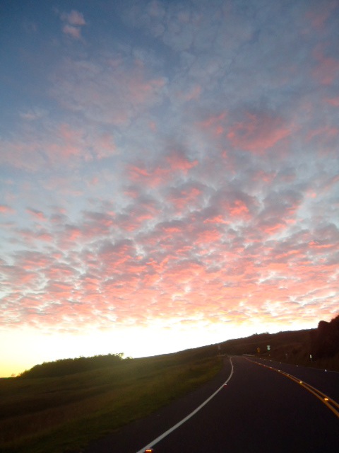 f0198556_01570.jpg