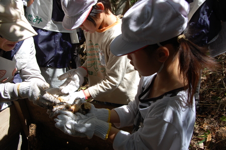 c0108460_03349.jpg