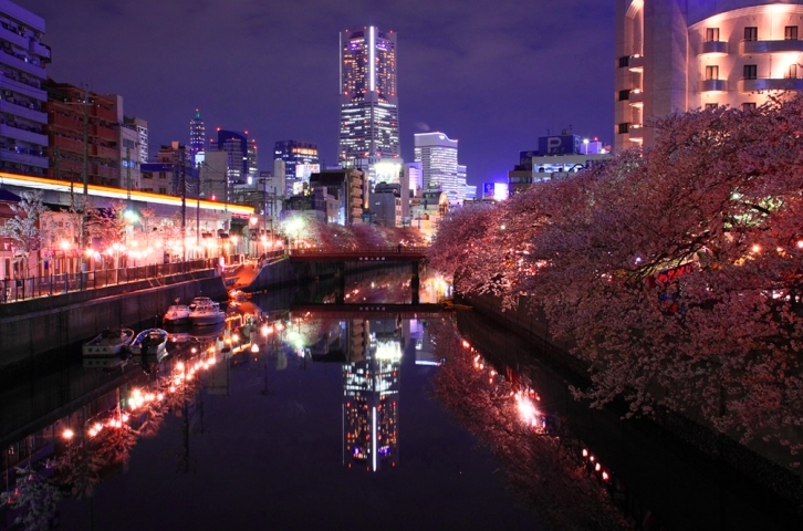 ＜2012年4月＞待ちに待った2012満開桜、旧友・家族と楽しんだ春爛漫(後編)_c0119160_627795.jpg