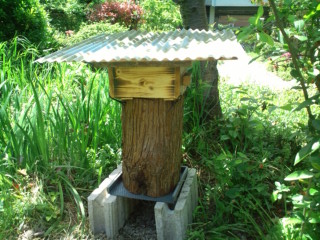 e0187064_1471781.jpg