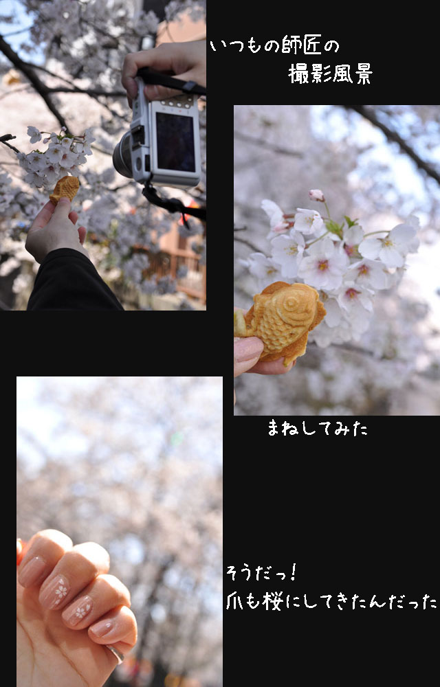 sakura_d0126366_20403683.jpg