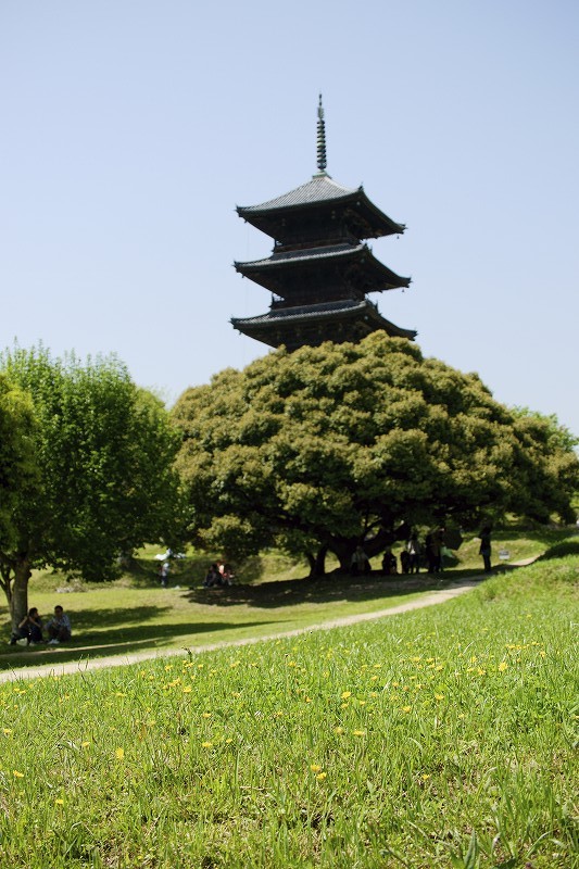 ゴールデンウィーク初日備中国分寺_b0198768_22512244.jpg