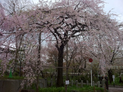 c0154876_205214.jpg
