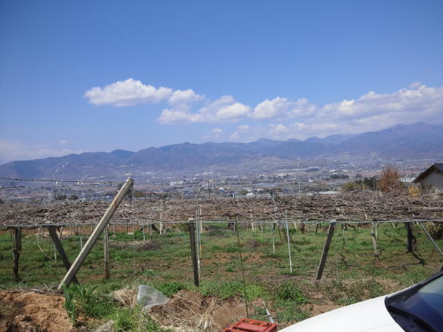 a0118079_074490.jpg