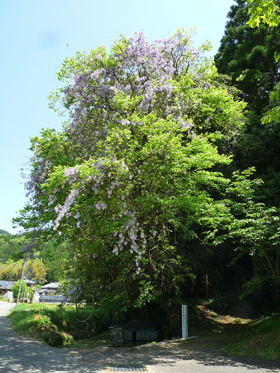 c0152779_23195417.jpg