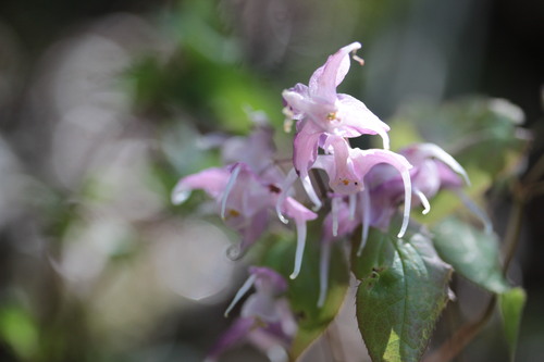 e0024081_93578.jpg