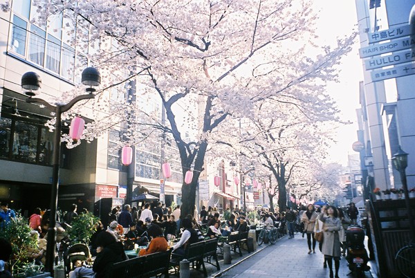 f0046982_155896.jpg