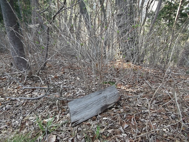 小さな山登り_c0212083_23201431.jpg